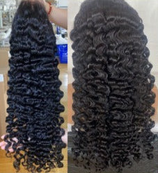BURMESE CURLY
